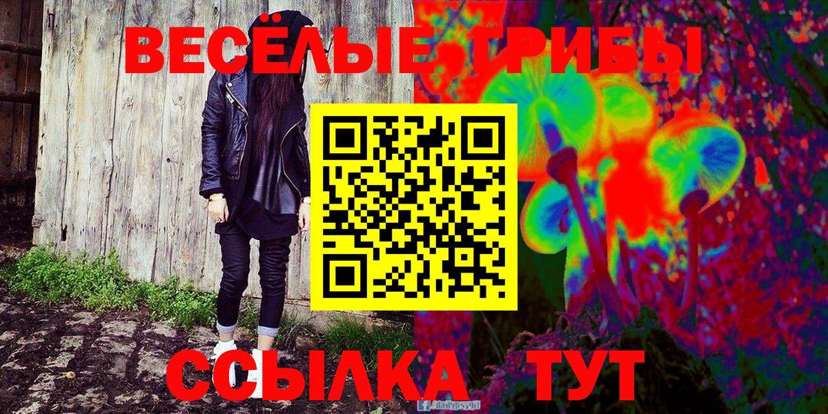 Псилоцибиновые грибы Psilocybe  Вход с VPN  Чехов 